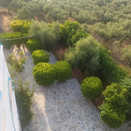 Tassos & Marios I * Laganas