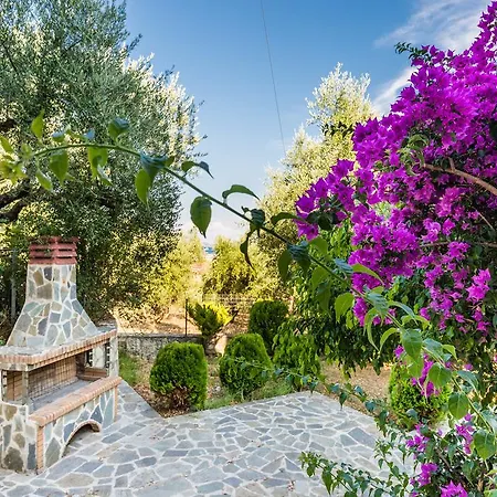 Apartament Tassos & Marios I *